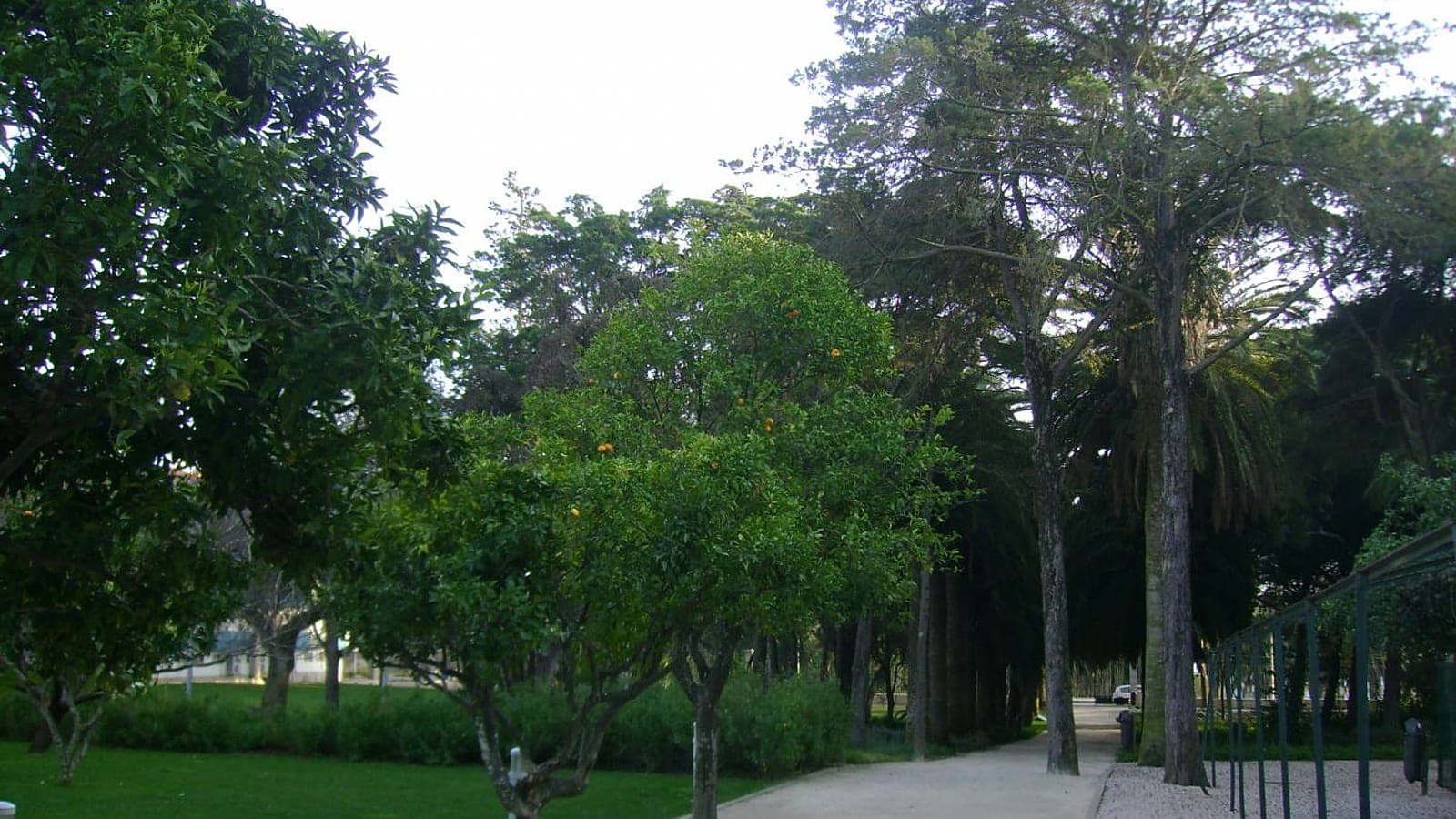 Jardim da Quinta dos Sete Castelos - Imagem 1