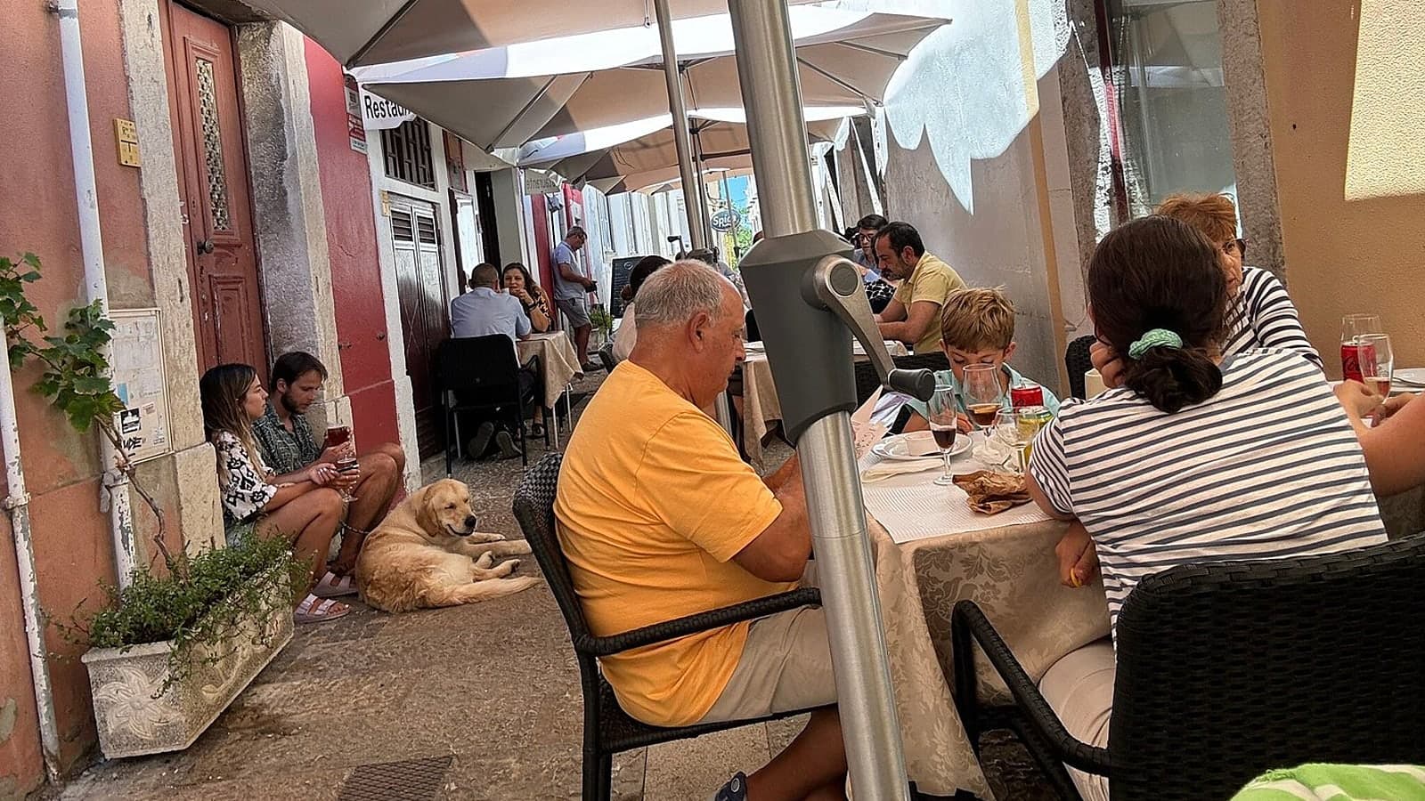 O Pombalino - Imagem 1