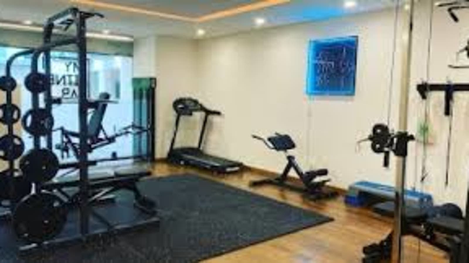 My Fitness Lab - Imagem 1