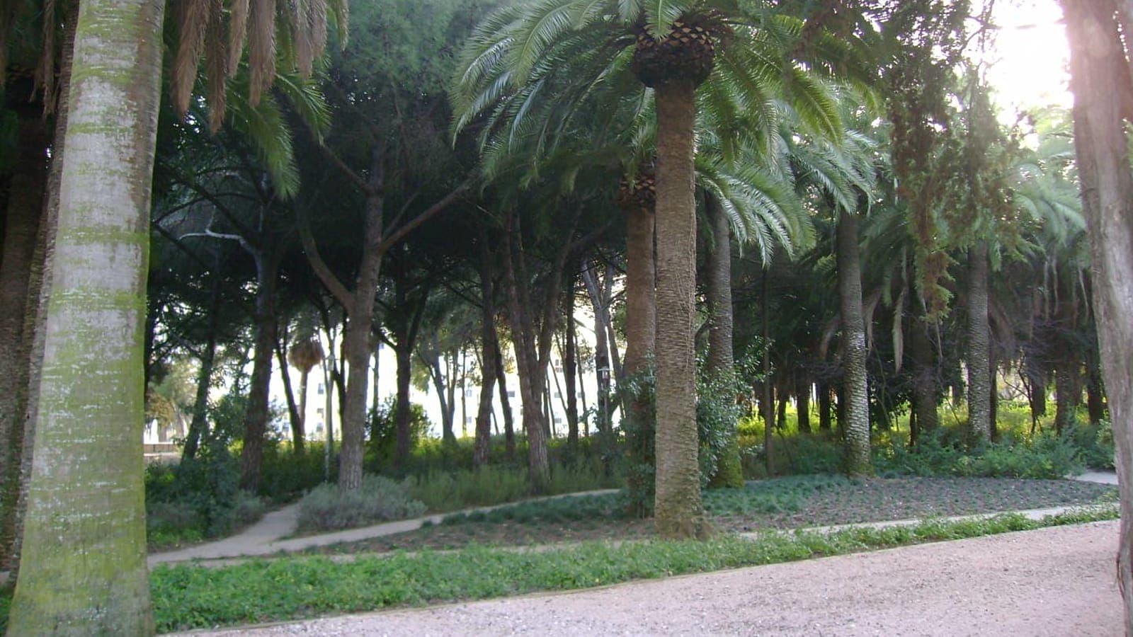 Jardim da Quinta dos Sete Castelos - Imagem 1