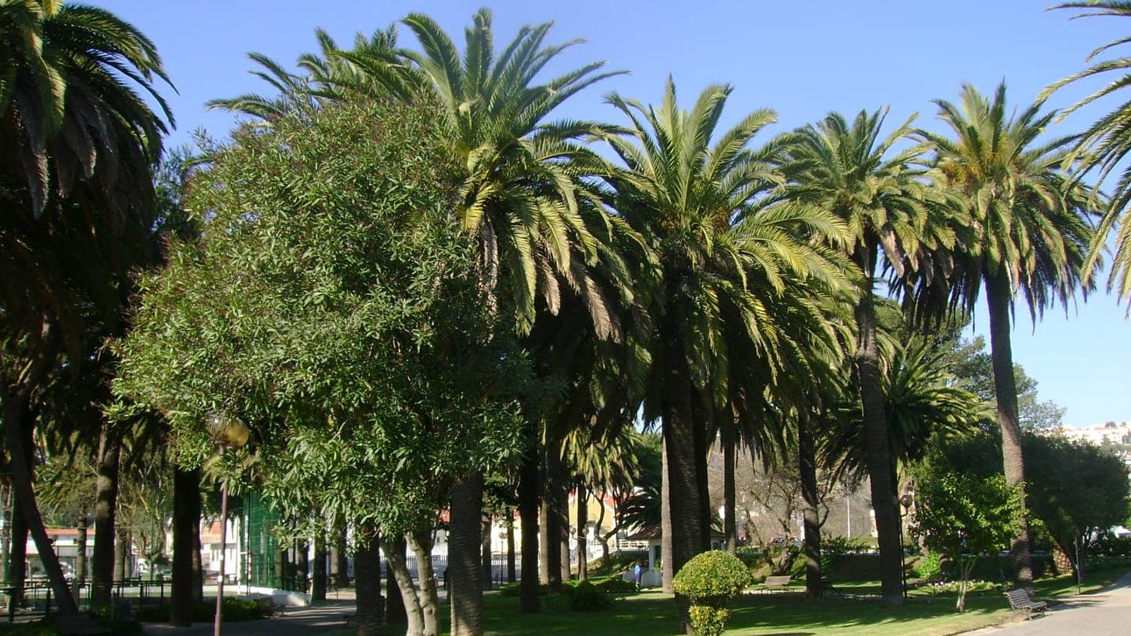 Jardim de Caxias - Imagem 1