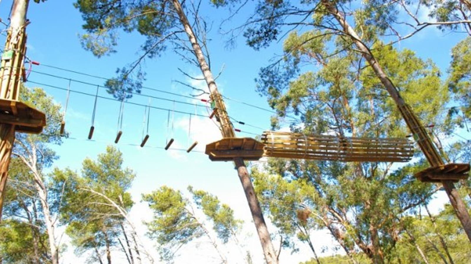 Parque Aventura do Jamor - Imagem 1