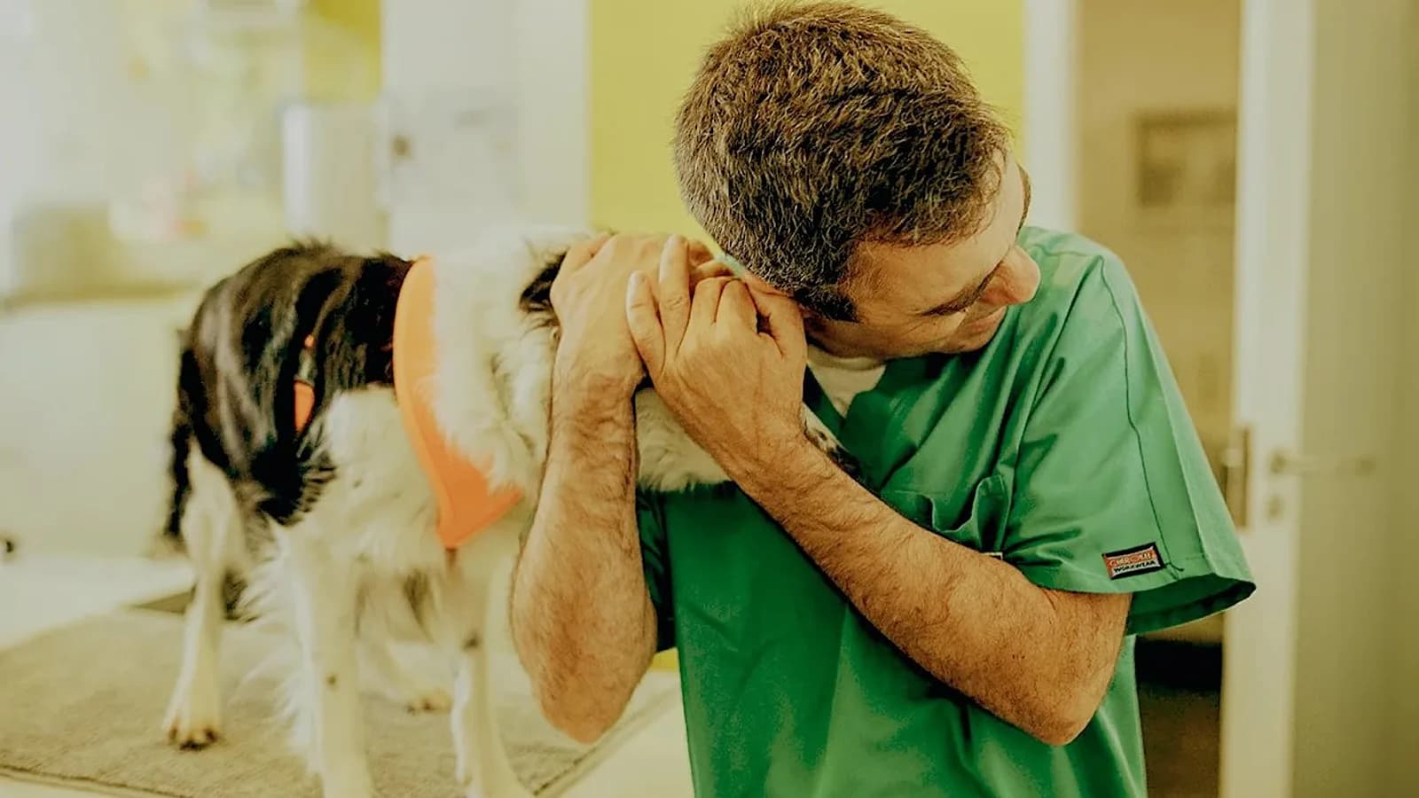 Vet.Point – Clínica Veterinária de Oeiras - Imagem 1