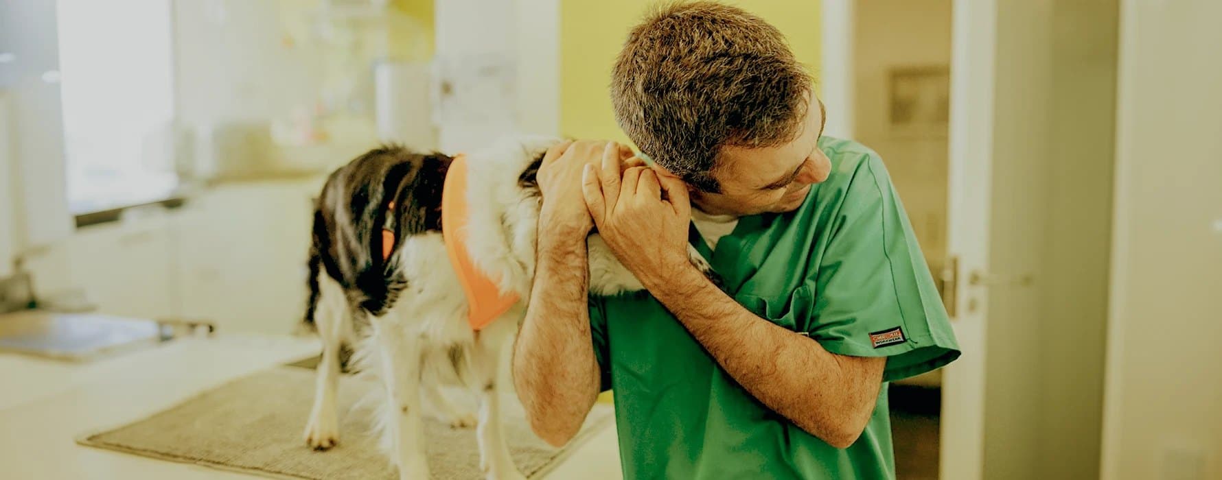 Vet.Point – Clínica Veterinária de Oeiras