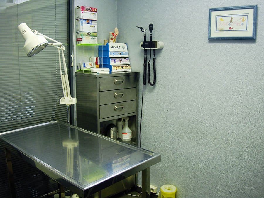 Vet Mais Pet Mais – Clínica Veterinária